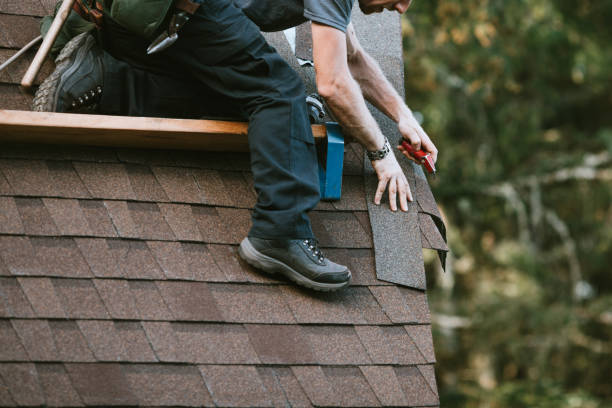 Best Roof Gutter Cleaning  in Golden Triangle, NJ